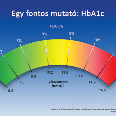 A szövetközi cukormérés mutatószámai – 2. rész